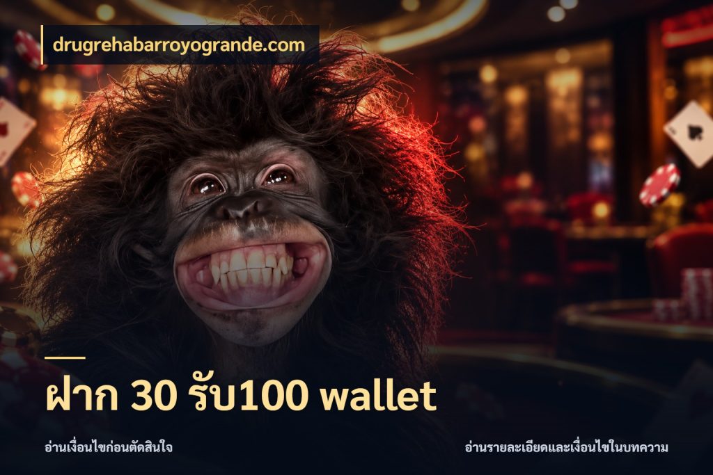 ฝาก 30 รับ100 wallet จับประเด็นยอดรับก่อนเลือกความสนุก กับ drugrehabarroyogrande.com