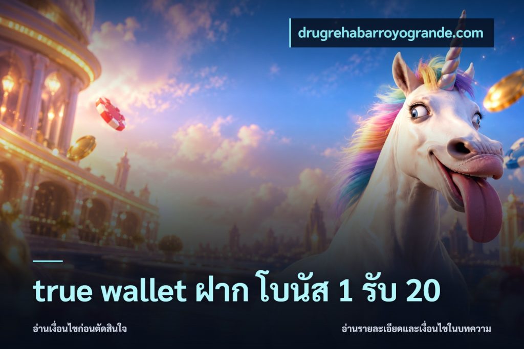 true wallet ฝาก โบนัส 1 รับ 20
