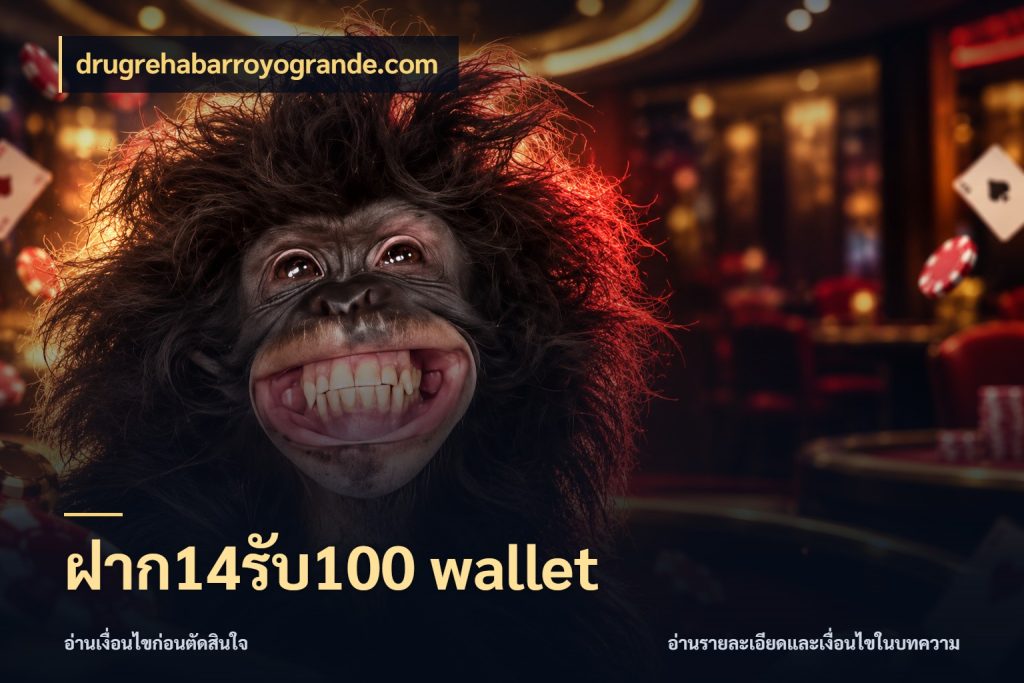 ฝาก14รับ100 wallet
