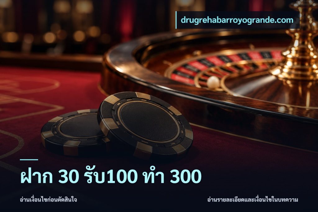 ฝาก 30 รับ100 ทำ 300