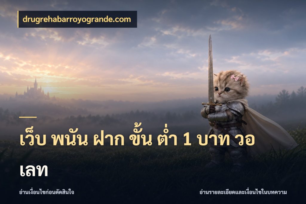 เว็บ พนัน ฝาก ขั้น ต่ำ 1 บาท วอ เลท รู้จักจำนวนแต่ละแบบก่อนเลือกเกม ในมุม drugrehabarroyogrande.com